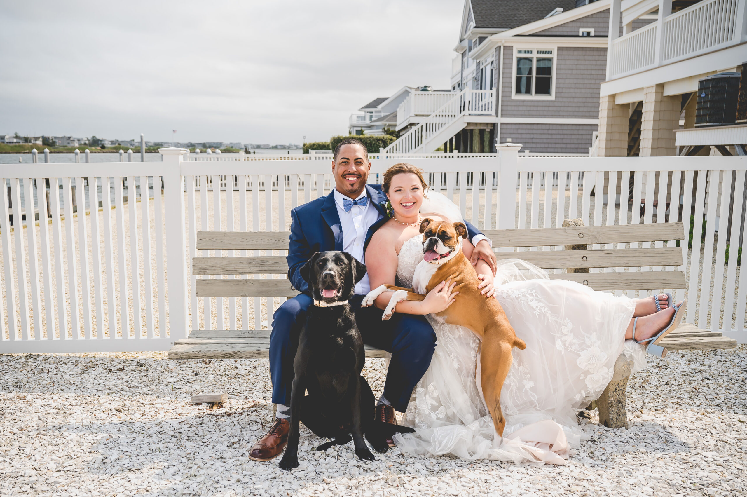 Dogs with bride and groom on their wedding day